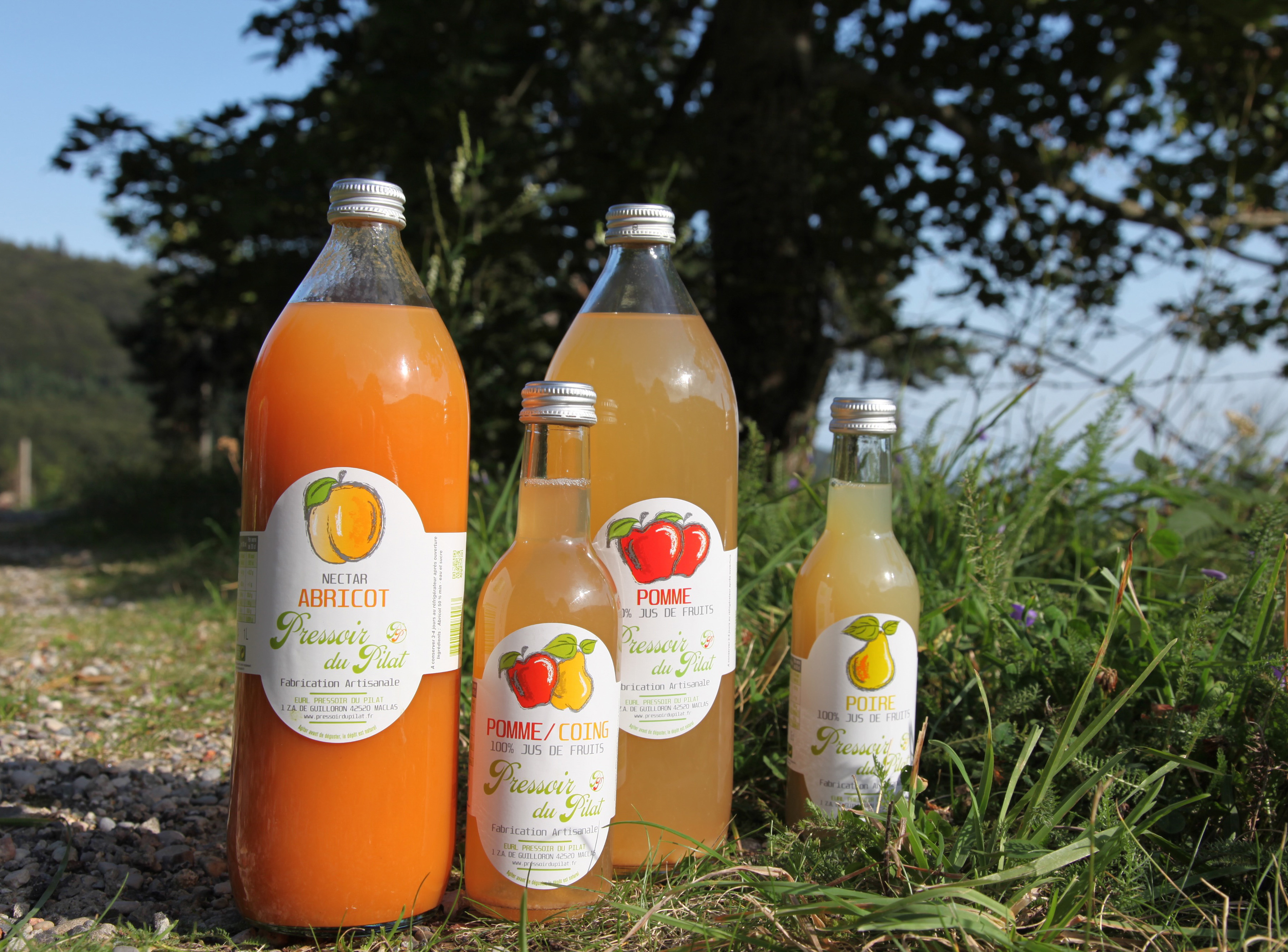 Pressoir du Pilat — jus de fruits artisanaux