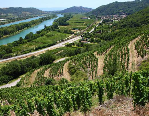 Vignobles et Rhône — Côte-Rôtie